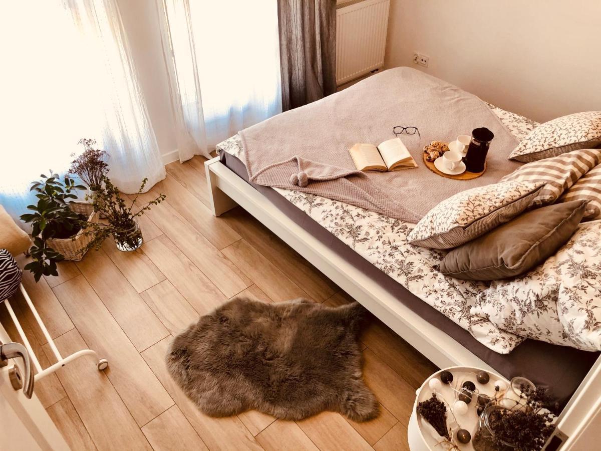 Nova Motlava Old Town Apartment 格但斯克 外观 照片
